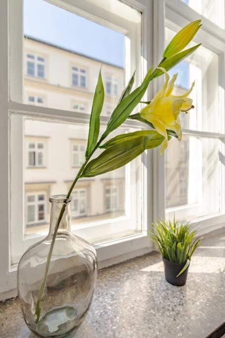 Royal Route Apartment Fully Equipped Краков Экстерьер фото